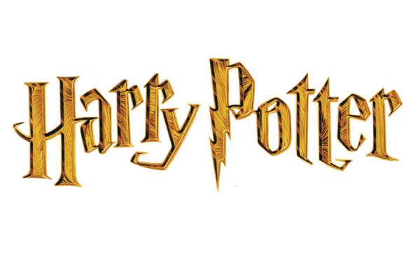 TUTTI FANS DI HARRY POTTER AL CINEMA IL PRIMO CAPITOLO DELLA SAGA SULLA MAGIA